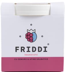 Friddi Ice cream with raspberries and blueberries