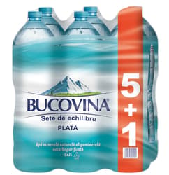 Bucovina Natural Mineral Water