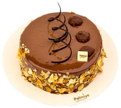 Palmiye Tort Choco Noisettes