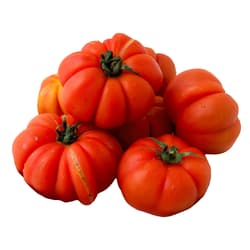Rosii taranesti de gradina (bucata)