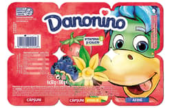 Danonino capsune/capsune-vanilie/afine (6X50G)
