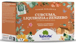 Valverbe ECO Hoarse tea with ginger, turmeric and licorice 20 sachets