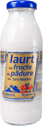 Monlacto Iaurt proteic cu fructe din Tara Motilor
