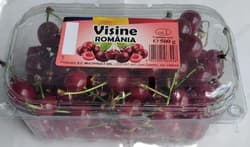 Visine (Localitatea Chiselet,Calarasi)