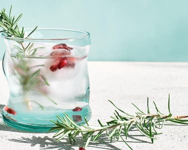 Gin Tonic fără alcool