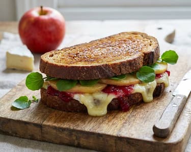 Warm sandwich with brie cheese, apples, and cranberries