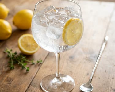 Alcohol-free Gin Tonic