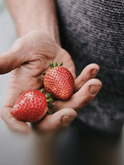 Calitate de top. Prețuri mici.
