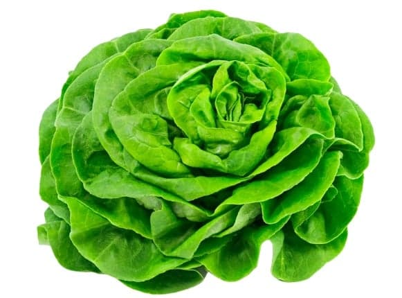ECO Salata verde Romania