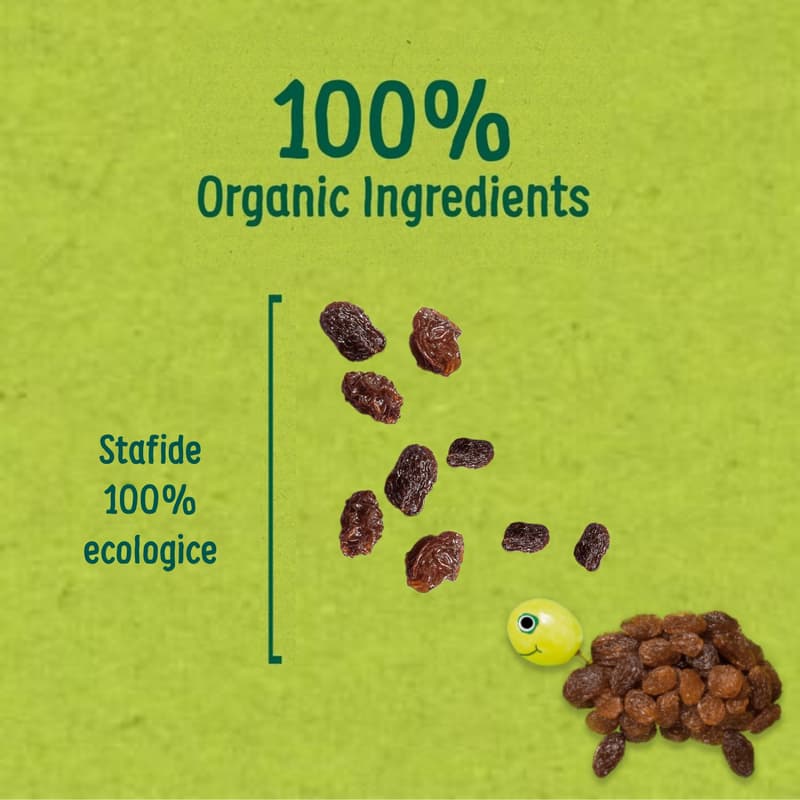 Organix ECO Stafide ecologice 12x14g, 12+