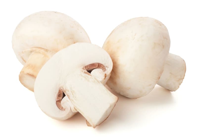 Ciuperci medii in caserola