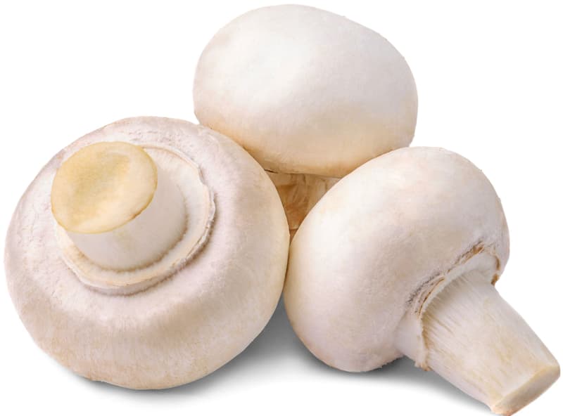 Ciuperci albe caserola