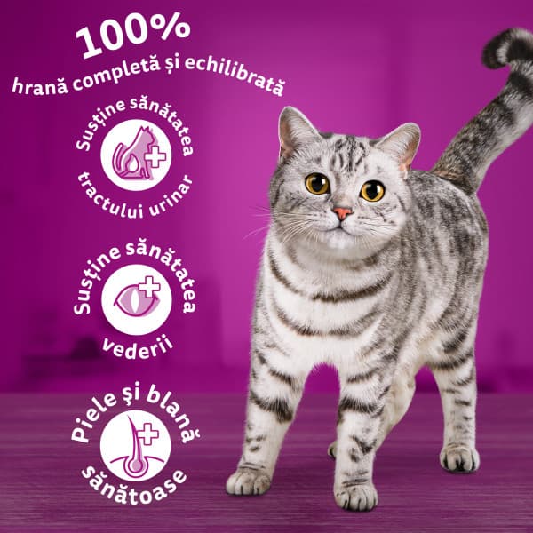 Whiskas Hrana uscata cu vita pentru pisici adulte