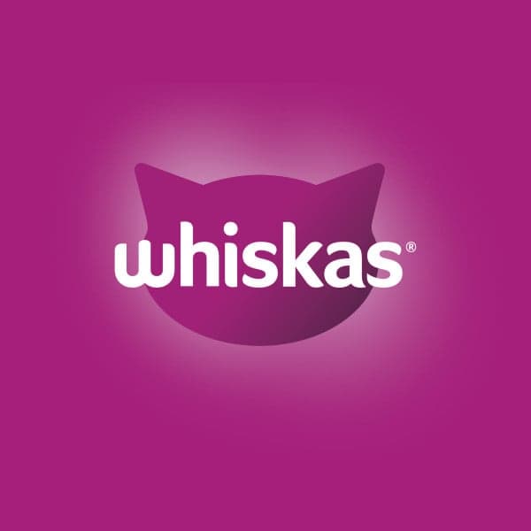 Whiskas Dry chicken food for adult cats
