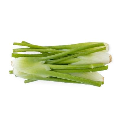Baby fennel