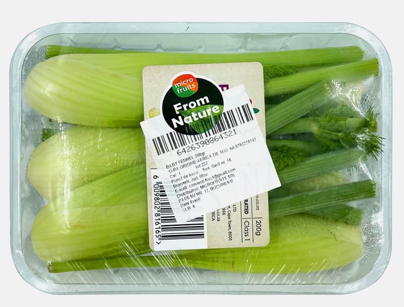 Baby fennel