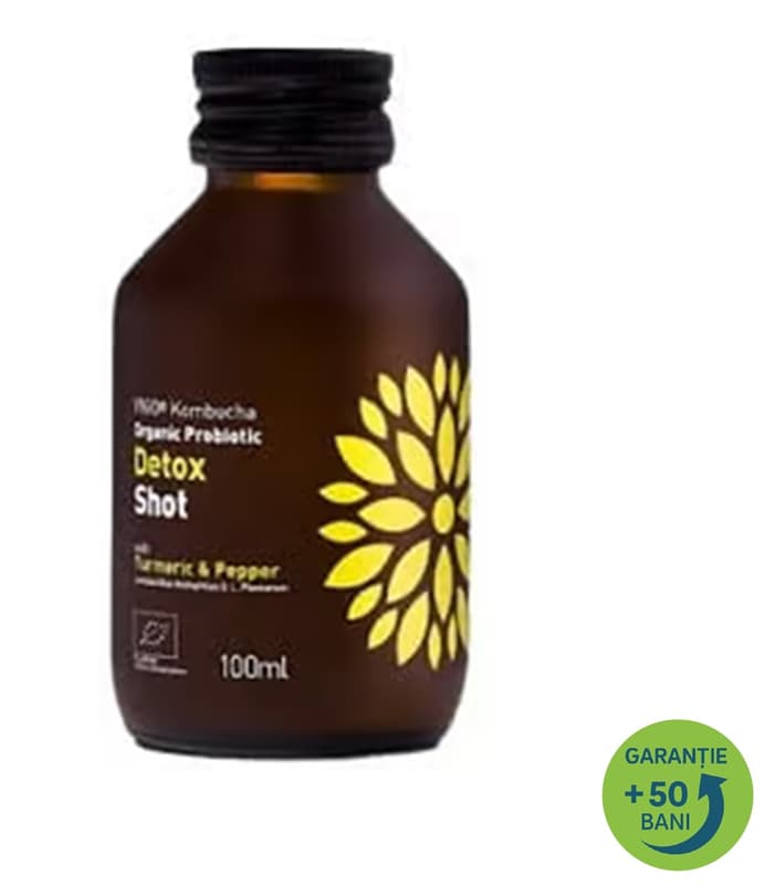 Vigo ECO Kombucha Shot Turmeric - Detox
