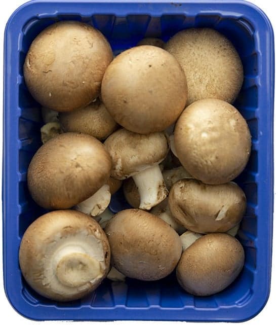 ECO Brown Champignon Mushrooms