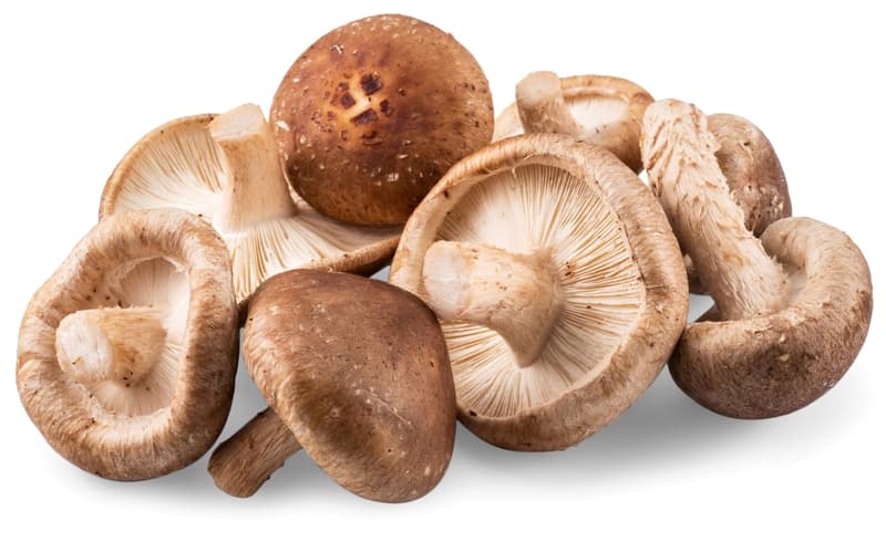 Ciuperci shiitake