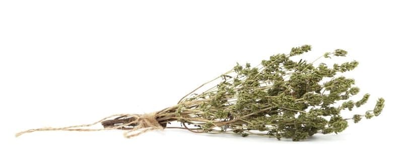 Dried thyme bunch