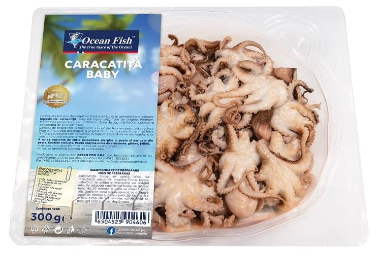 Ocean Fish Caracatita baby