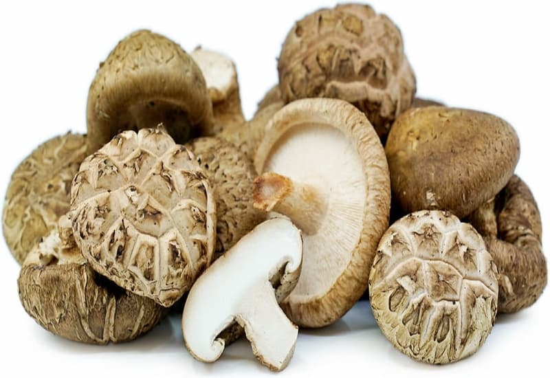 Ciuperci shiitake