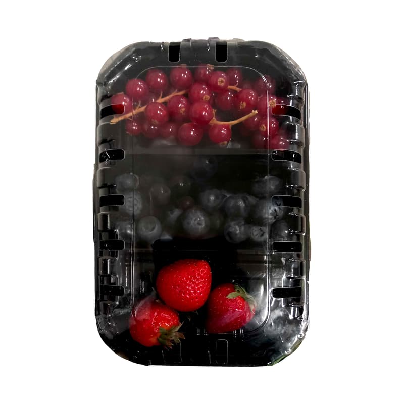 Mix de fructe de padure