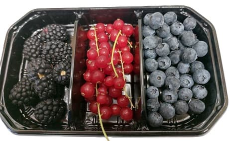 Mix de fructe de padure