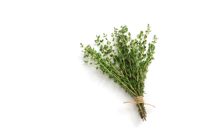 Thyme