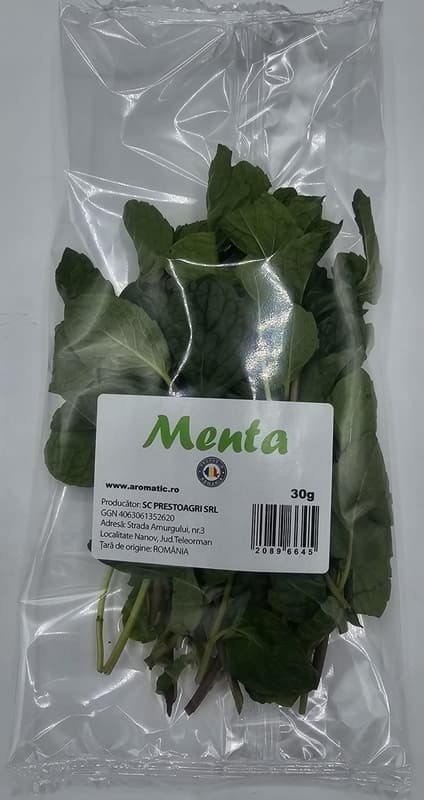 Menta