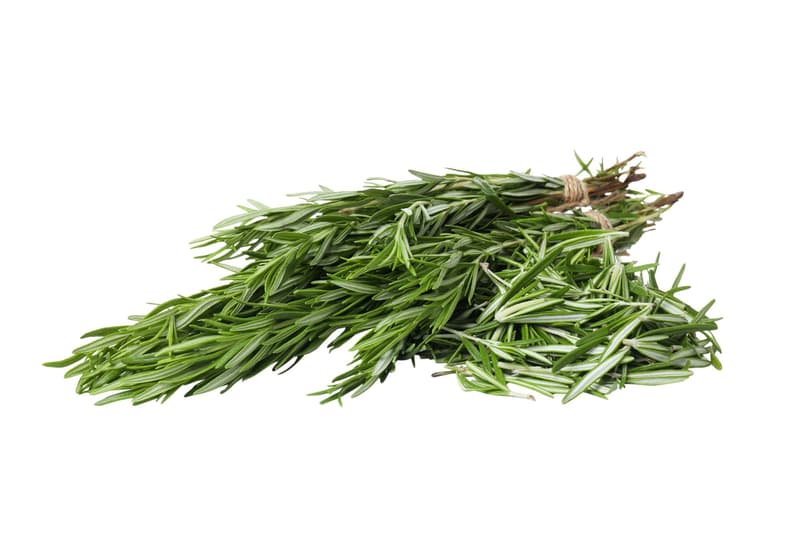 Rosemary