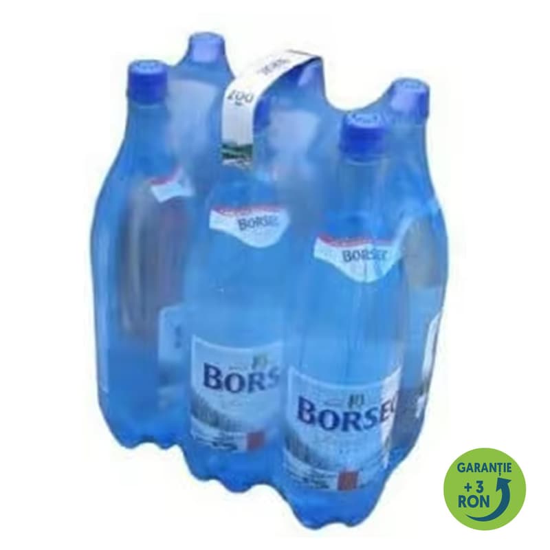 Borsec Apa minerala carbogazoasa (6x1,5l)