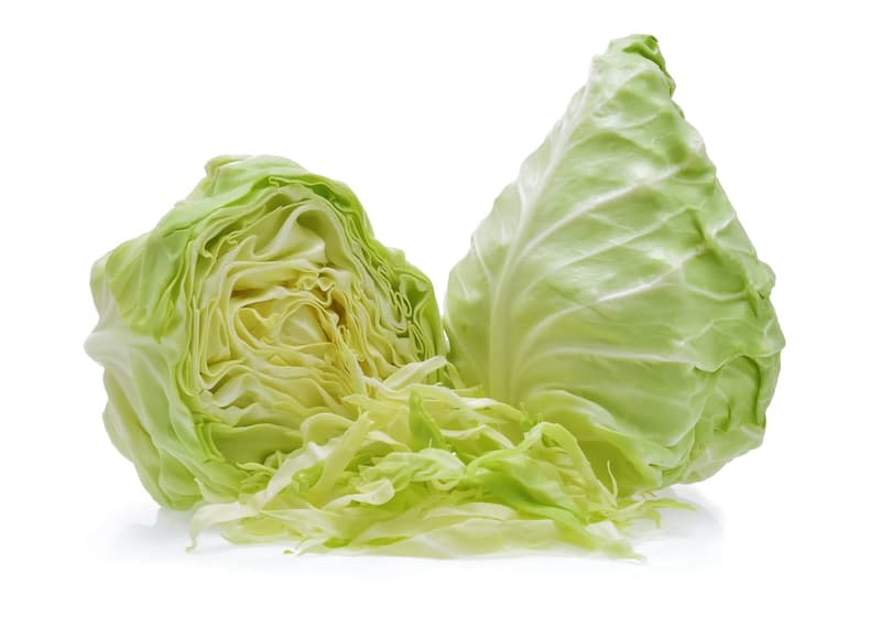 ECO Conical White Cabbage