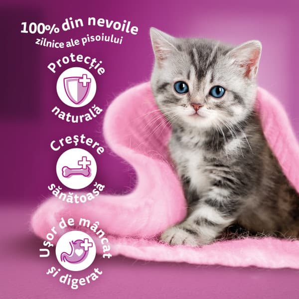 Whiskas Junior hrana umeda pentru pisici junioare, selectii clasice in sos de carne 12 x 85 g