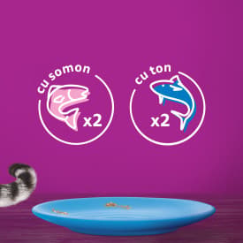 Whiskas Adult Wet Cat Food, Fish Selection in Jelly 4 x 85 g