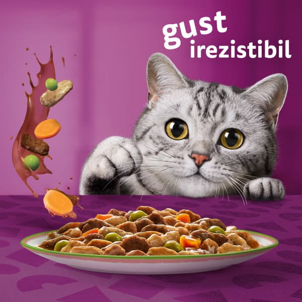 Whiskas Tasty Mix Chef's Choice Wet Food for Adult Cats 4x85g