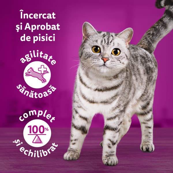 Whiskas Tasty Mix Chef's Choice Wet Food for Adult Cats 4x85g