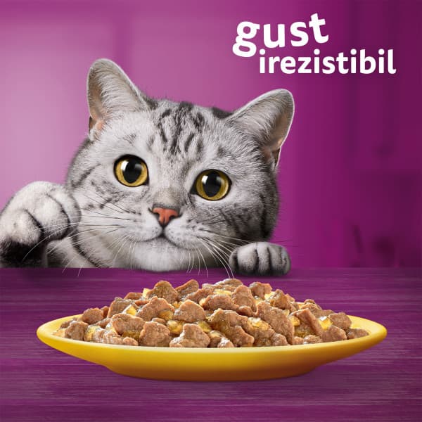 Whiskas hrana umeda pentru pisici adulte, cu pui in aspic 85g
