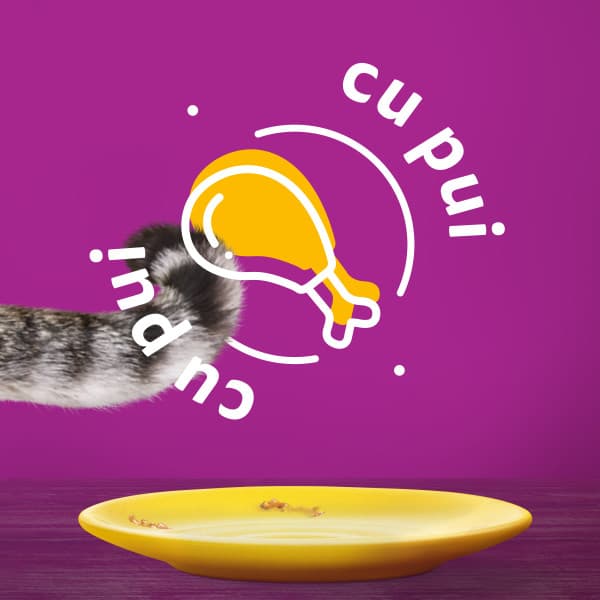 Whiskas hrana umeda pentru pisici adulte, cu pui in aspic 85g