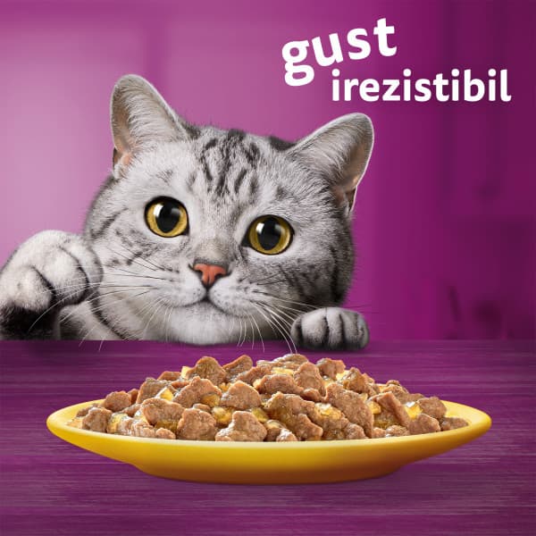 Whiskas hrana umeda pentru pisici adulte cu carne de pasare in aspic 4 x 85 g