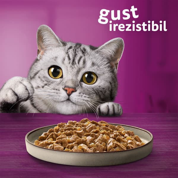 Whiskas Pure Delight hrana umeda pentru pisici adulte cu carne de pasare in aspic 4 x 85 g