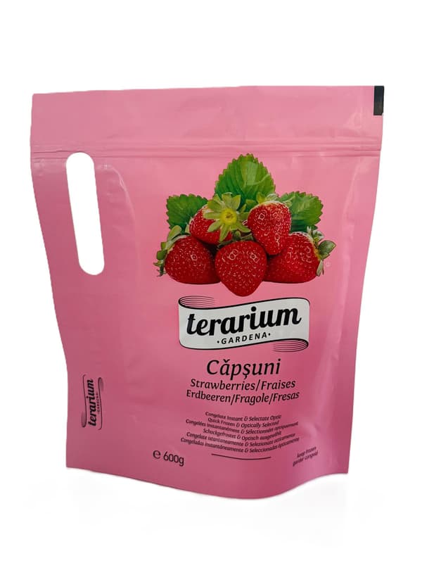 Terarium Gardena  Caspuni congelate