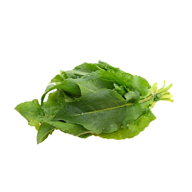 Nasul Rosu ECO Stevie