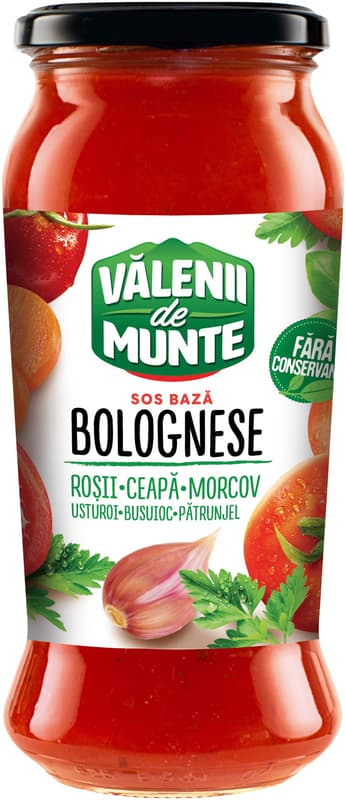Valenii de Munte Sos Baza Bolognese