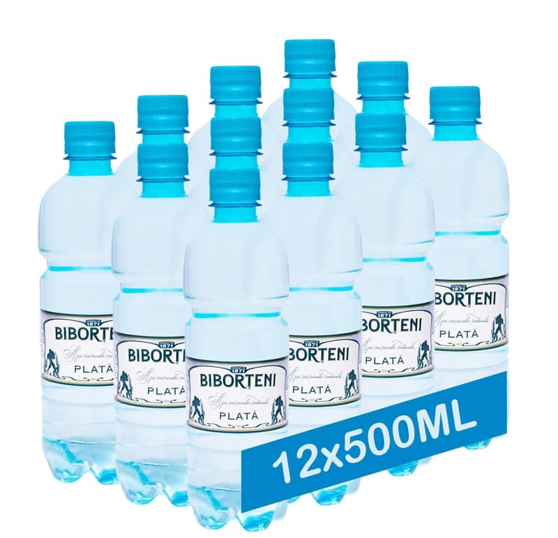 Biborteni Still Mineral Water (12x0.5l)