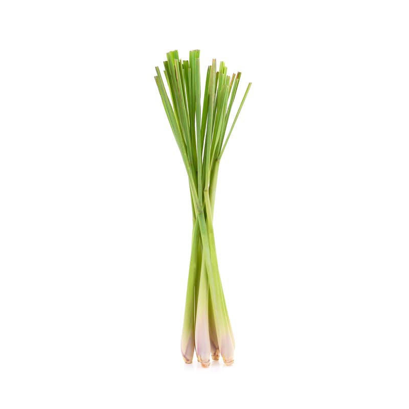 Fresh Lemongrass
