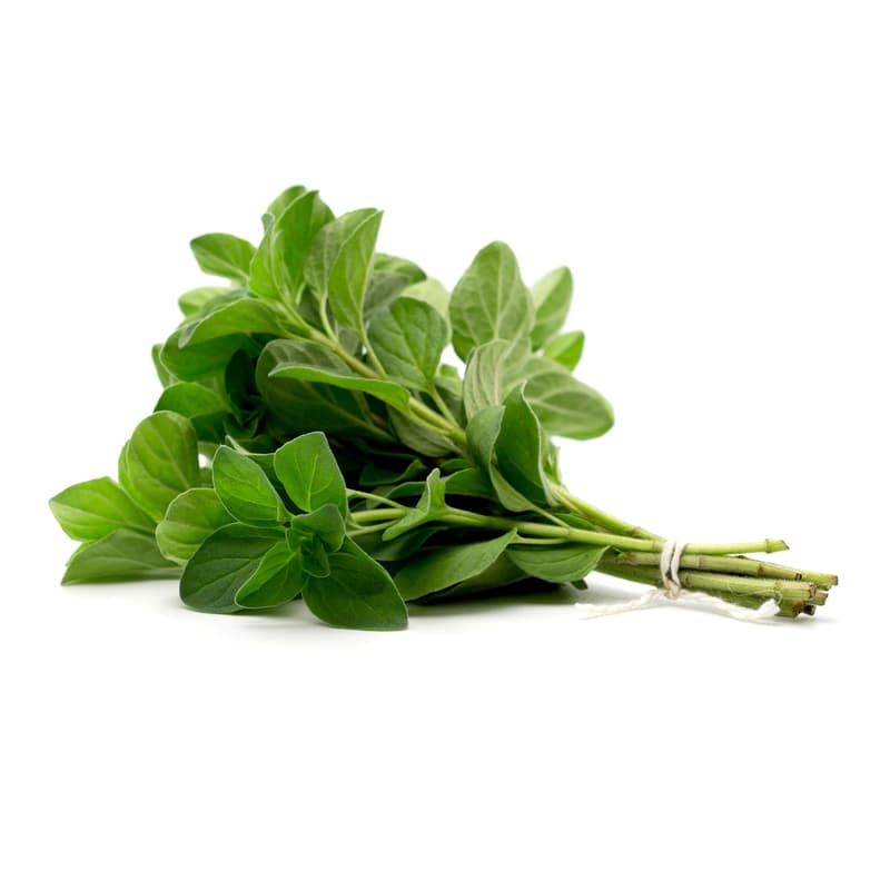 Nasul Rosu ECO Oregano