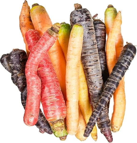 ECO Morcovi Rainbow