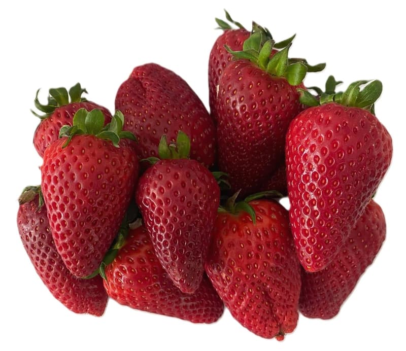 Capsune romanesti soi Marisol