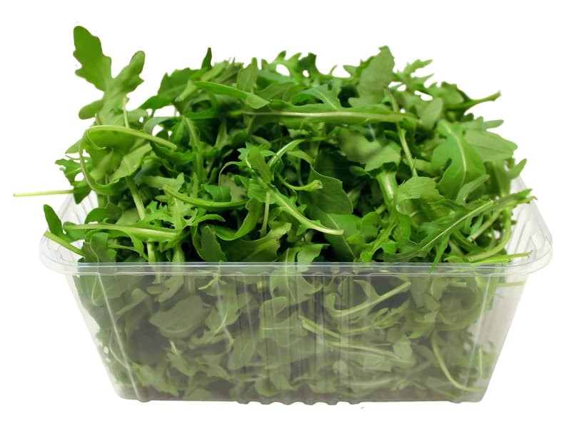 Rucola